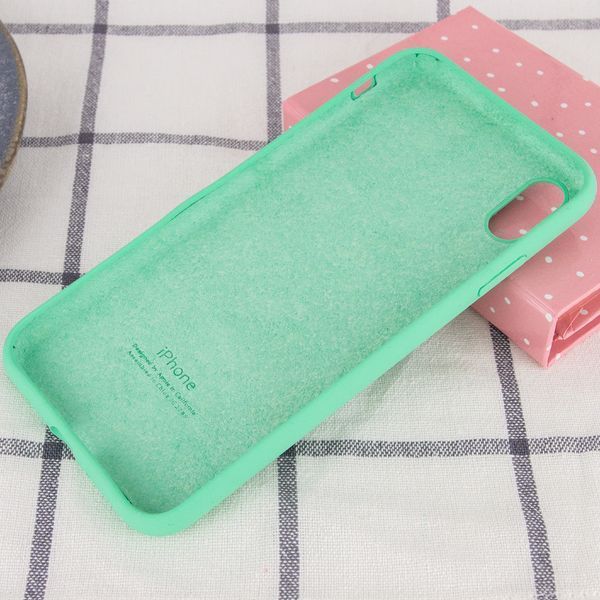Чохол Silicone Case 360 для Iphone XR Зелений / Spearmint 53241