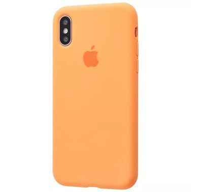 Чехол Silicone Case 360 для Iphone X / XS Kumquat 57268