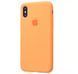 Чехол Silicone Case 360 для Iphone X / XS Kumquat 57268