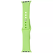 Ремешок Silicone Sport Band для Apple Watch 38/40/SE 40/41 mm S Lime green 69240
