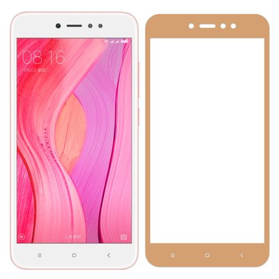 Защитное стекло Perfect Ipaky для Xiaomi Redmi Note 5A Gold 43078