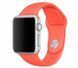 Ремешок Silicone для Apple Watch 42/44/45/49 mm Orange 40045