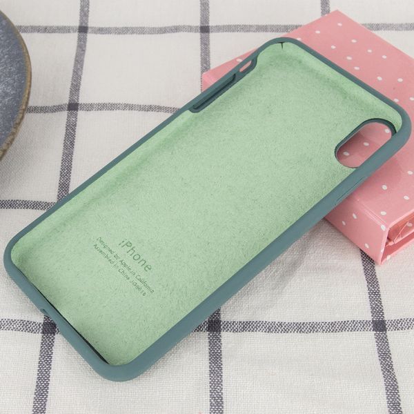 Чехол Silicone Case 360 для Iphone X / XS Зеленый / Pine green 53221
