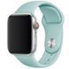 Ремешок Silicone для Apple Watch 42/44/45/49 mm Бирюзовый / Beryl 50608