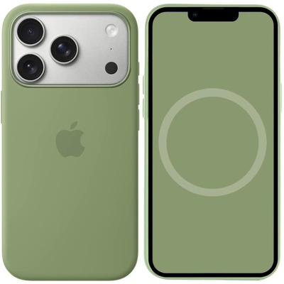 Чохол Silicone case Magsafe для Iphone 17 Pro Max Light moss