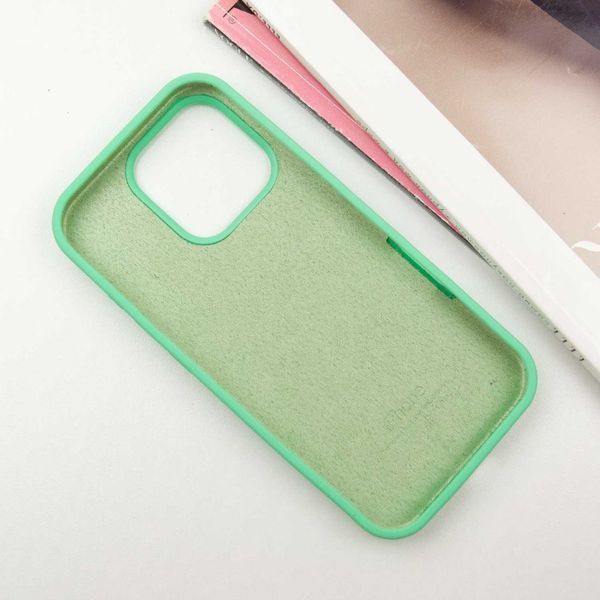 Чехол Silicone Case для Iphone 16 Pro Бирюзовый / Turquoise