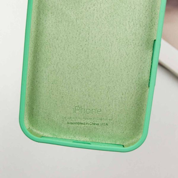 Чехол Silicone Case для Iphone 16 Pro Бирюзовый / Turquoise