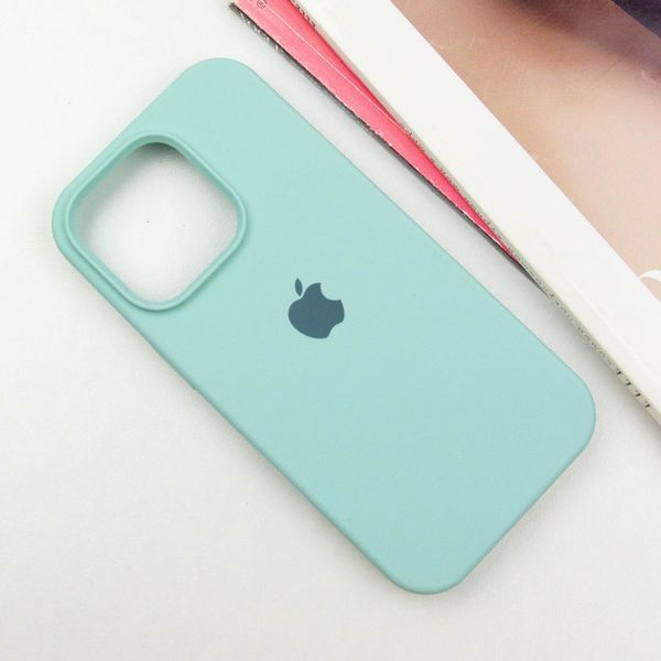 Чехол Silicone Case для Iphone 16 Pro Бирюзовый / Turquoise