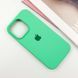 Чехол Silicone Case для Iphone 16 Pro Бирюзовый / Turquoise