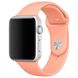 Ремінець Silicone для Apple Watch 38/40/SE 40/41 mm Flamingo 40014