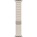 Ремешок Alpine Loop для Apple Watch 38/40/SE 40/41 mm Starlight 69203