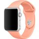 Ремінець Silicone для Apple Watch 42/44/45/49 mm Flamingo 37819