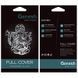 Защитное стекло 9H Ganesh Full для Iphone 16 Pro Black