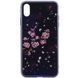 Чехол TPU+Glass Fantasy для Iphone X / XS Цветение 35282
