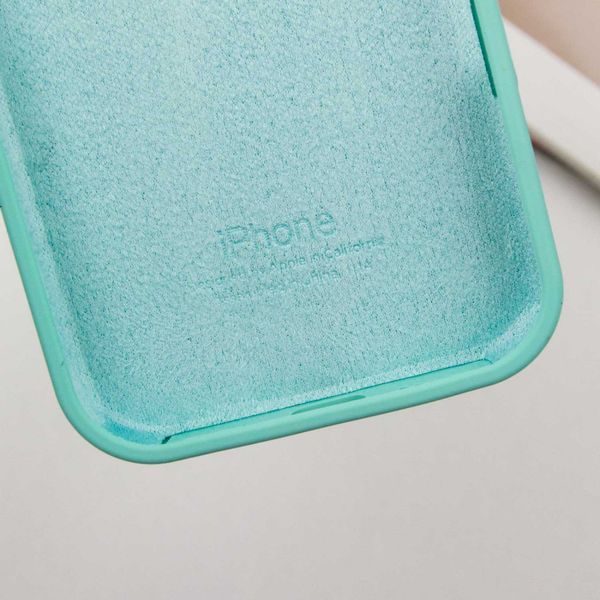 Чехол Silicone Case для Iphone 16 Plus Бирюзовый / Marine Green