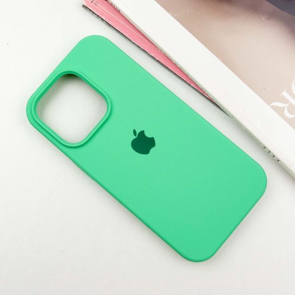 Чехол Silicone Case для Iphone 16 Pro Зеленый / Spearmint