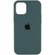 Чохол Silicone Case для Iphone 13 Pro Зелений / Cactus 58664 1