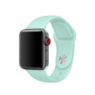 Ремінець Silicone для Apple Watch 38/40/SE 40/41 mm Light Mint 37828