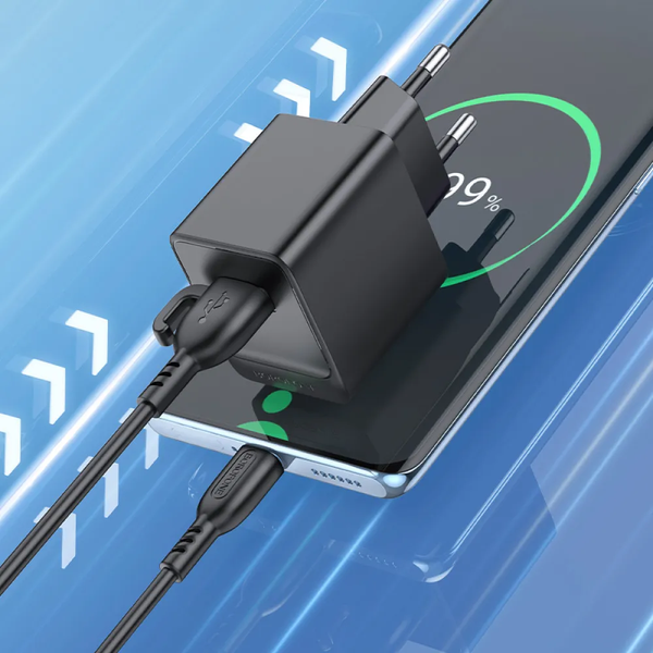 Мережевий зарядний пристрій BOROFONE BAS11A 10.5W 1USB+кабель USB to Type-C 1m Black 87809