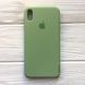Чехол Silicone Case для Iphone X / XS Light Green 31544 1