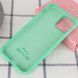 Чохол Silicone Case для Iphone 12 Mini Зелений / Spearmint 47069 1