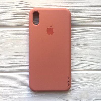 Чехол Silicone Case для Iphone X / XS Flamingo 31546