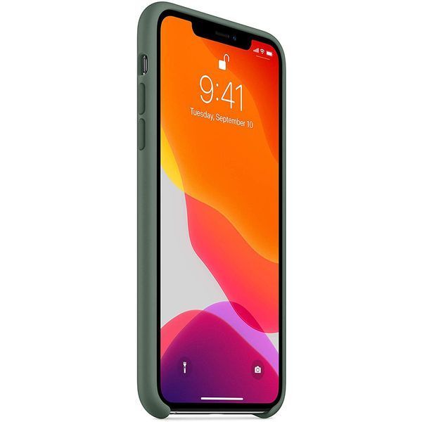 Чохол Silicone Case для Iphone 11 Зелений / Pine green 47413