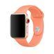 Ремінець Silicone для Apple Watch 38/40/SE 40/41 mm Nectarine 37832
