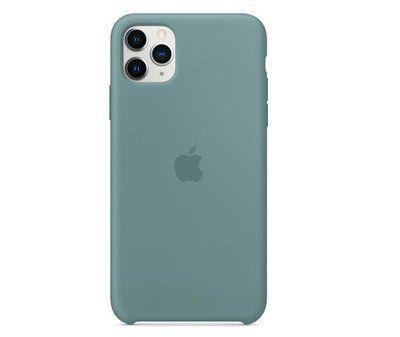 Чохол Silicone Case для Iphone 11 Pro Зелений / Cactus 50681