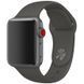 Ремешок Silicone для Apple Watch 42/44/45/49 mm Серый / Dark Gray 50814
