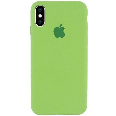 Чехол Silicone Case 360 для Iphone X / XS Мятный / Mint 53230