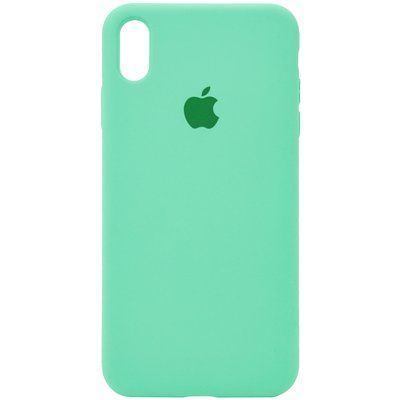 Чехол Silicone Case 360 для Iphone X / XS Зеленый / Spearmint 53220
